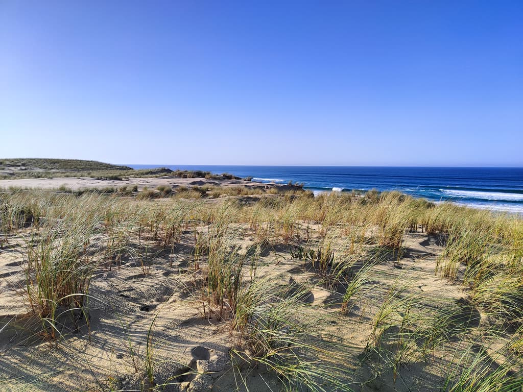 Flight delay insurance