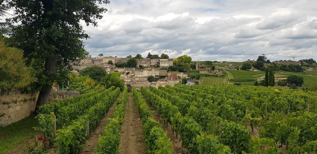 Wine Tour Saint-Émilion